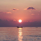 千寻的头像-QQ1000